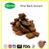 pure natural pine bark extract