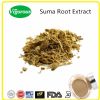 suma root extract/pfaffia paniculata extract